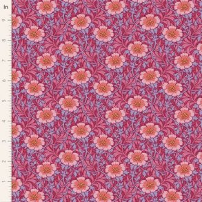 Hibernation - Winterrose Hibiscus